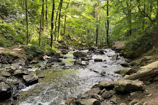 Soco Falls